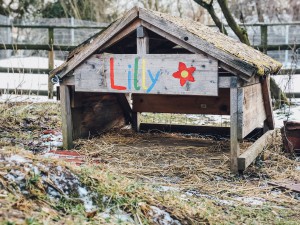 Kinder- und Jugendfarm Neuaubing - Spielplatz und Streichelzoo - München mit Kind - Ausflugstipps für Familien 5